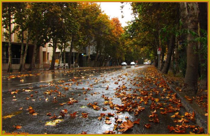 نمای خیابان فردوسی اصفهان